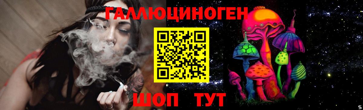 Псилоцибиновые грибы Cubensis Сунжа